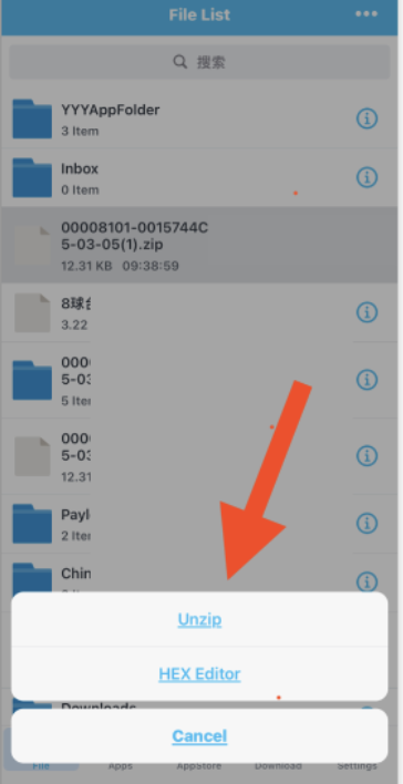 Sign In with ESign IPA Signer iOS